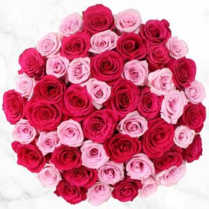 50-stem Hot Pink & Light Pink Roses