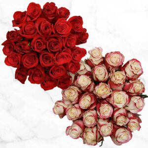 50-stem Red & Bi-color Red/White Roses