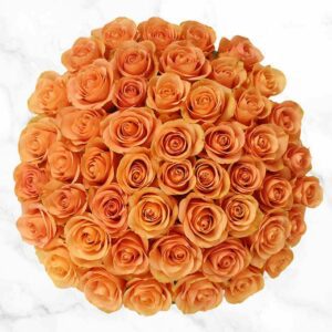 50-stem Peach Roses